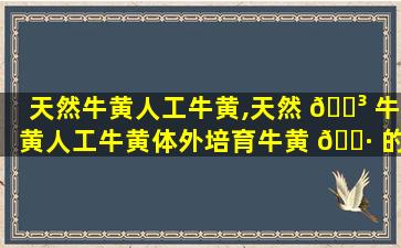 天然牛黄人工牛黄,天然 🌳 牛黄人工牛黄体外培育牛黄 🕷 的对比图